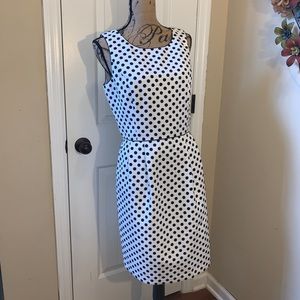 White House Black Market Dress Size 10